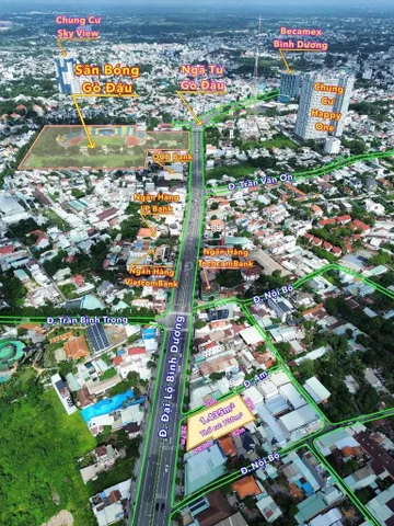Bất động sản tại Bình Dương - ảnh 1
