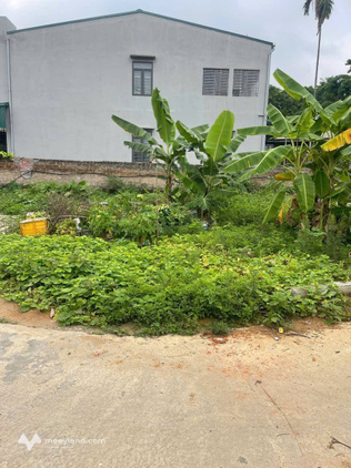 Bất động sản tại Phú Thọ - ảnh 1