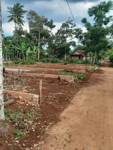 Bất động sản tại Đắk Lắk - ảnh 1