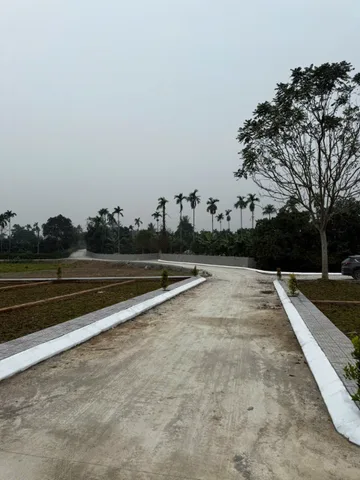 Bất động sản tại Phú Thọ - ảnh 1