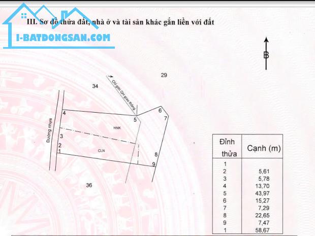 Bất động sản tại Kon Tum - ảnh 1
