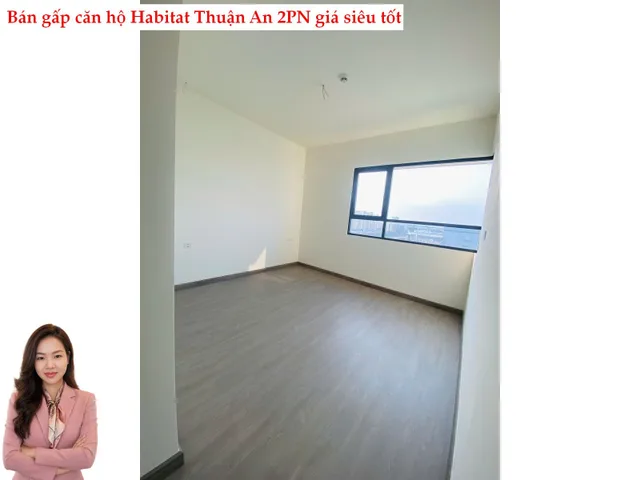 Bất động sản tại Bình Dương - ảnh 1