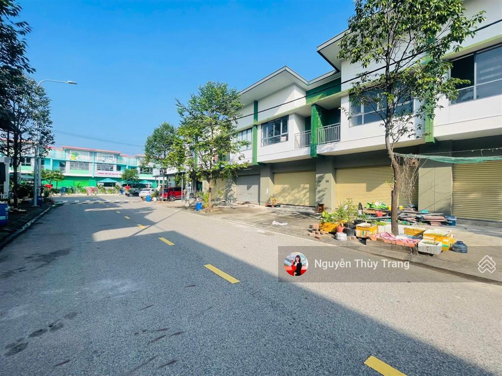 Bất động sản tại Bình Dương - ảnh 1