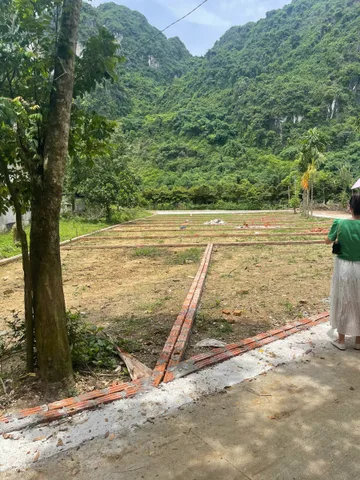 Bất động sản tại Hòa Bình - ảnh 1
