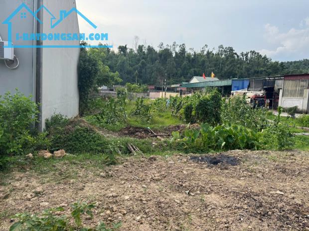 Bất động sản tại Hải Dương - ảnh 1