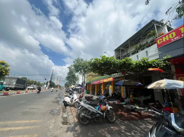 Bất động sản tại TP. Hồ Chí Minh - ảnh 1