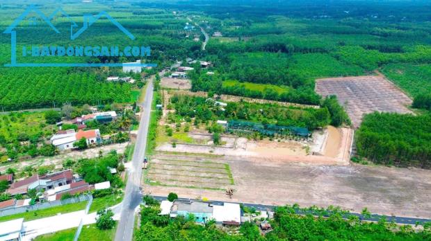 Bất động sản tại Bình Dương - ảnh 1