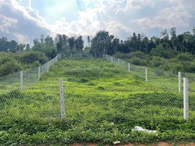 Bất động sản tại Lâm Đồng - ảnh 1