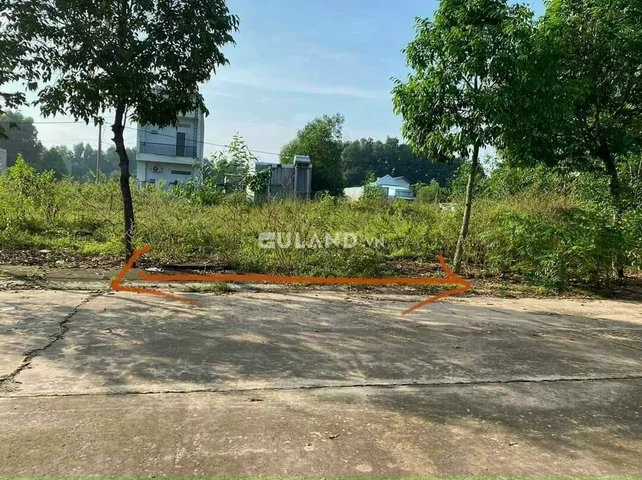 Bất động sản tại Bình Dương - ảnh 1