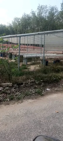 Bất động sản tại Bình Dương - ảnh 1