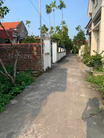 Bất động sản tại Hải Phòng - ảnh 1