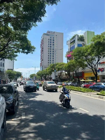 Bất động sản tại Đà Nẵng - ảnh 1