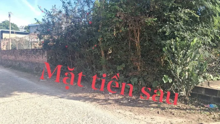 Bất động sản tại Đắk Lắk - ảnh 1