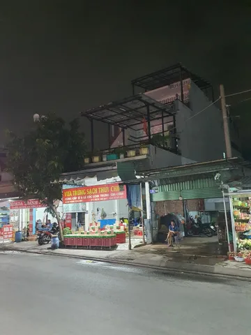 Bất động sản tại TP. Hồ Chí Minh - ảnh 1