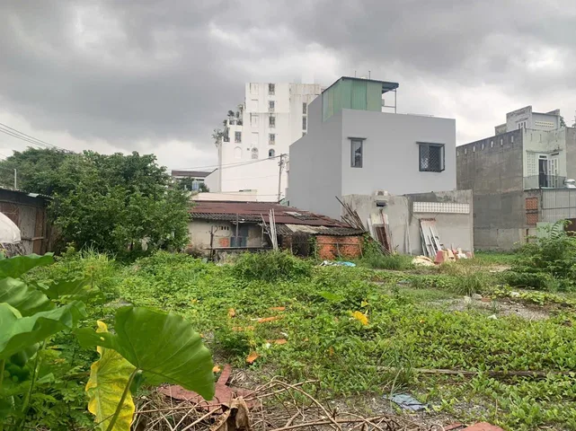 Bất động sản tại TP. Hồ Chí Minh - ảnh 1