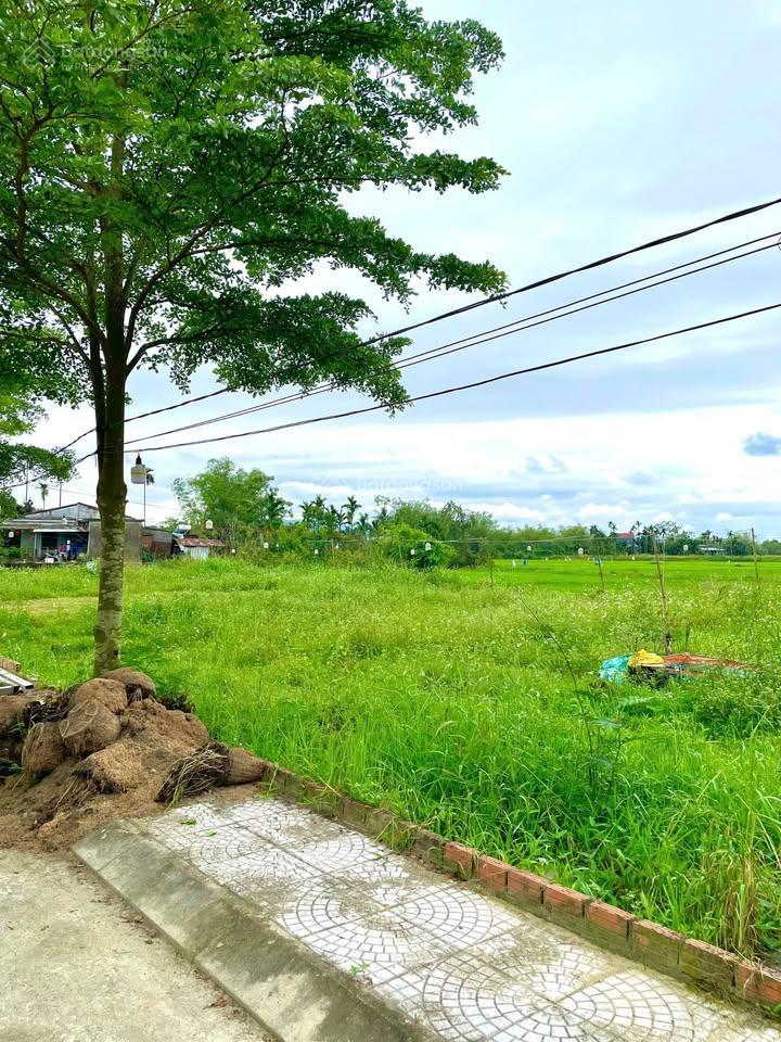 Bất động sản tại Quảng Nam - ảnh 1