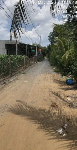 Bất động sản tại Đồng Tháp - ảnh 1