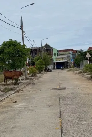 Bất động sản tại Quảng Ngãi - ảnh 1