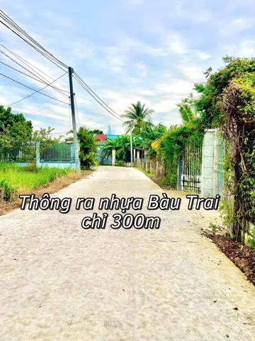 Bất động sản tại Long An - ảnh 1