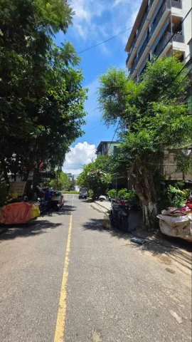 Bất động sản tại Đà Nẵng - ảnh 1