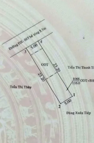 Bất động sản tại Bình Dương - ảnh 1