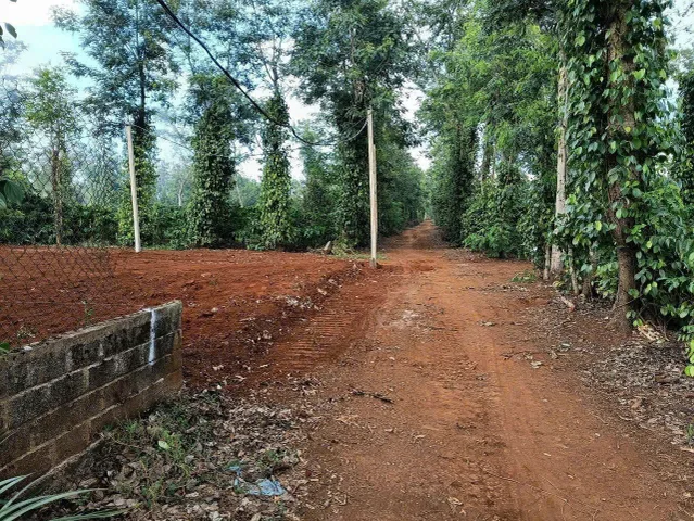 Bất động sản tại Đắk Lắk - ảnh 1