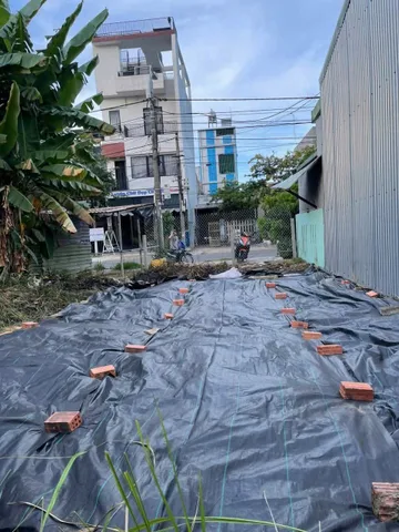 Bất động sản tại Đà Nẵng - ảnh 1