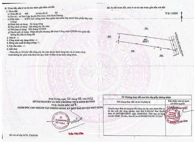 Bất động sản tại Bình Dương - ảnh 1
