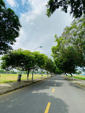 Bất động sản tại Đồng Nai - ảnh 1