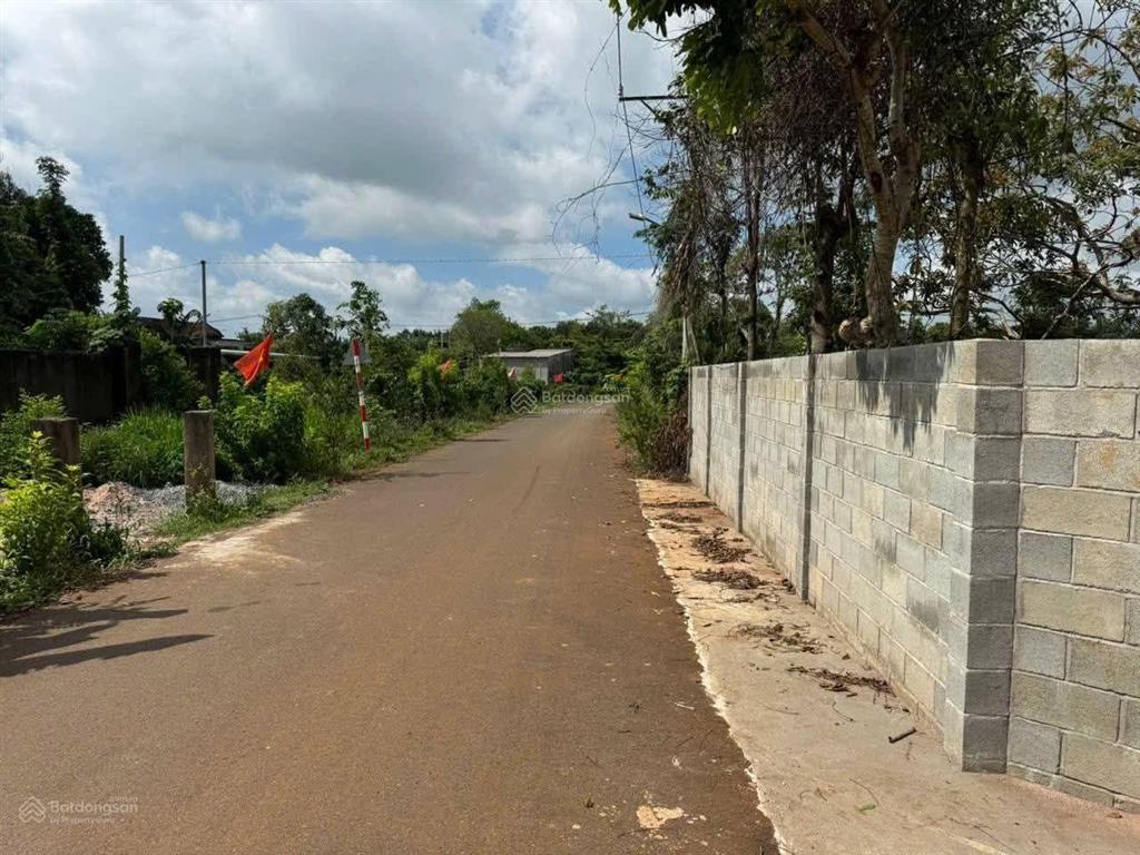 Bất động sản tại Bà Rịa - Vũng Tàu - ảnh 1