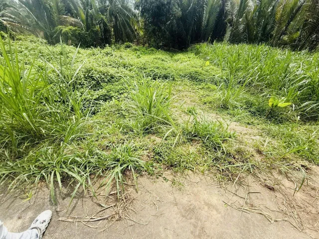 Bất động sản tại Vĩnh Long - ảnh 1