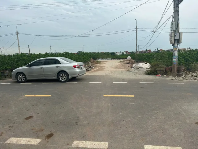 Bất động sản tại Hưng Yên - ảnh 1