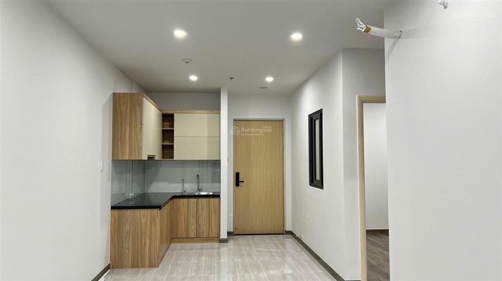 Bất động sản tại Bình Dương - ảnh 1