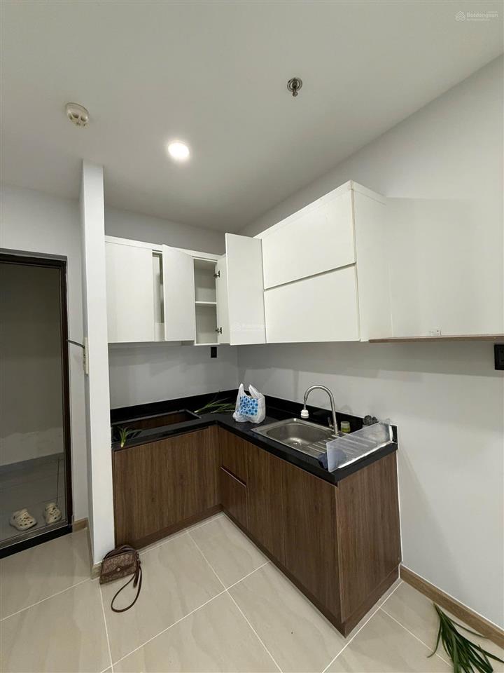 Bất động sản tại Bình Dương - ảnh 1