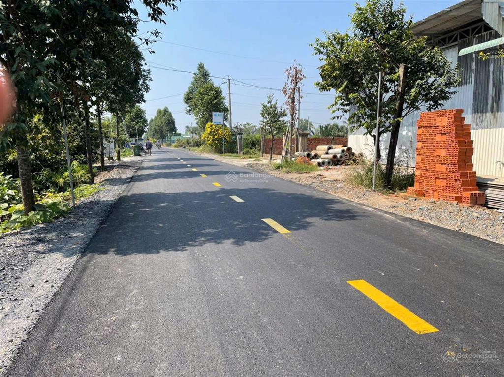 Bất động sản tại Long An - ảnh 1