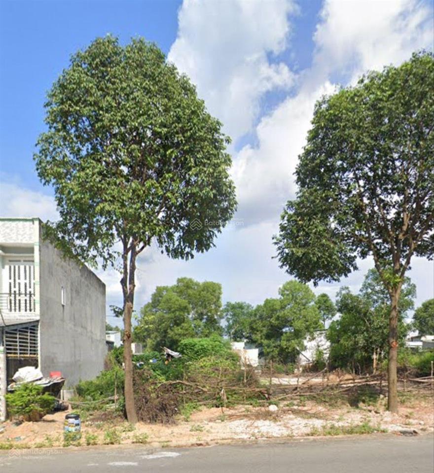 Bất động sản tại Bình Dương - ảnh 1