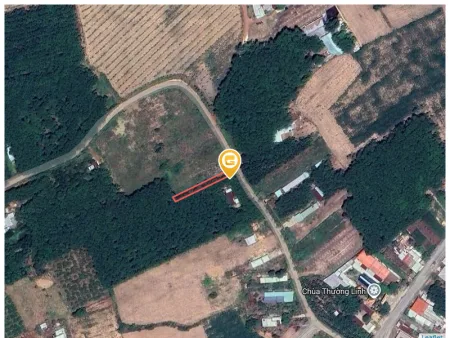 Bất động sản tại Bình Dương - ảnh 1
