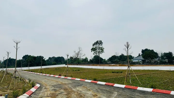 Bất động sản tại Phú Thọ - ảnh 1