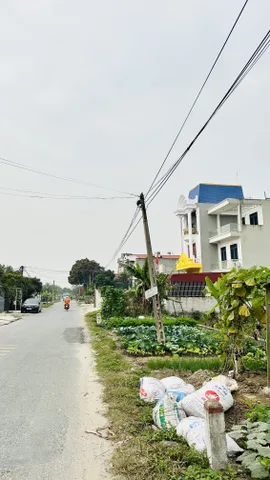 Bất động sản tại Hải Phòng - ảnh 1