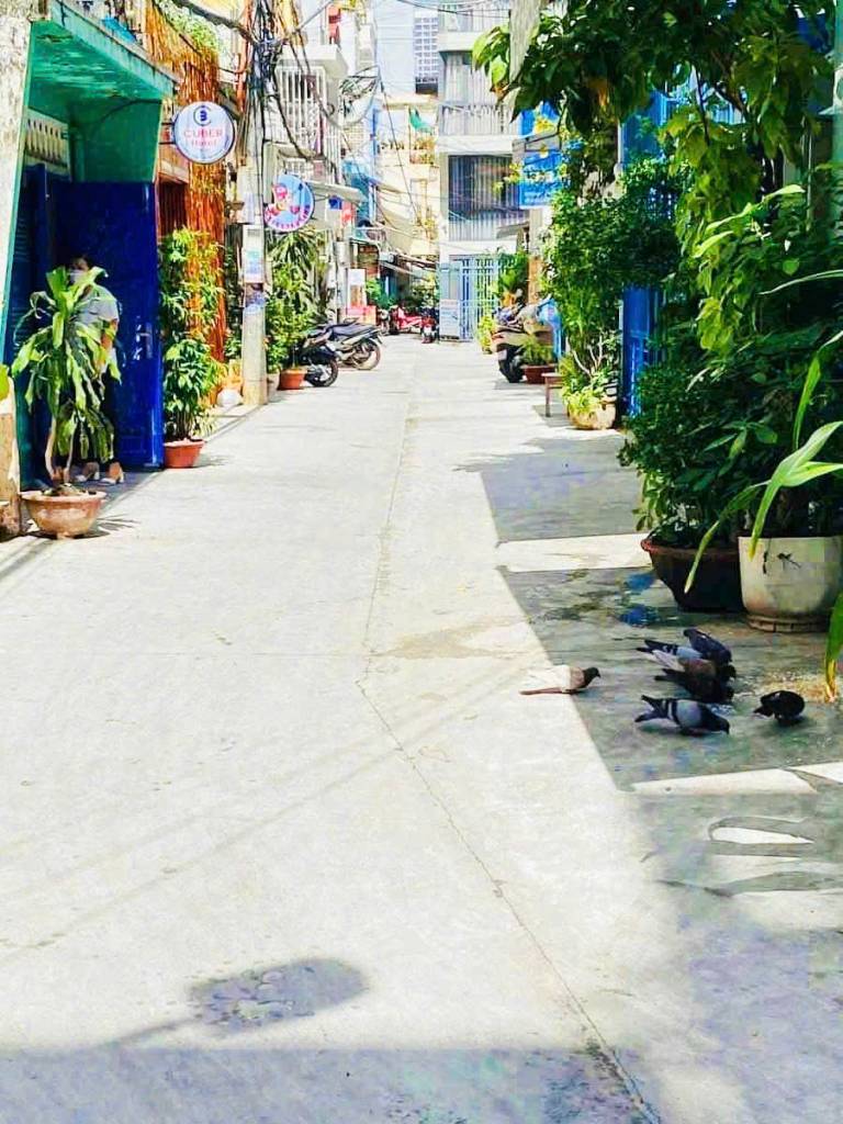 Bất động sản tại Khánh Hòa - ảnh 1