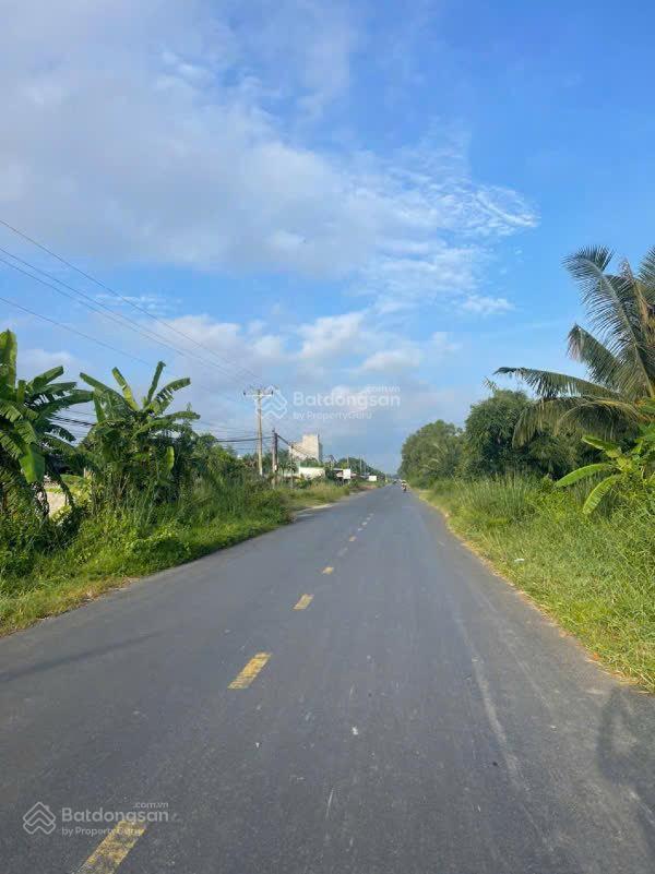 Bất động sản tại Long An - ảnh 1