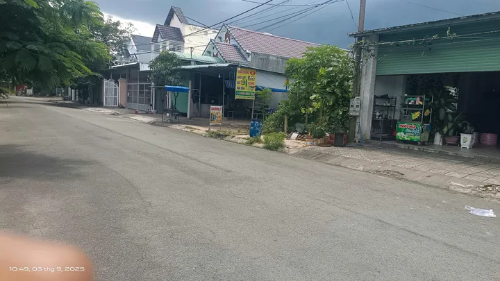 Bất động sản tại Bình Dương - ảnh 1