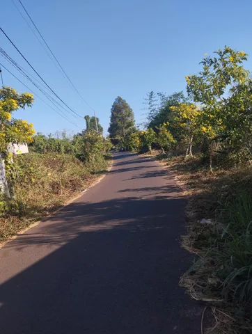Bất động sản tại Bà Rịa - Vũng Tàu - ảnh 1