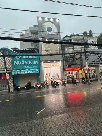 Bất động sản tại TP. Hồ Chí Minh - ảnh 1