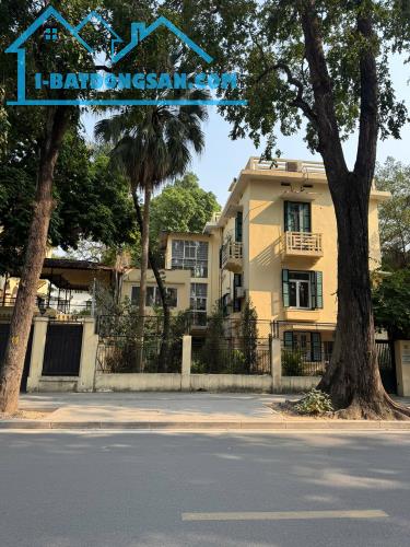 Bất động sản tại Điện Biên - ảnh 1