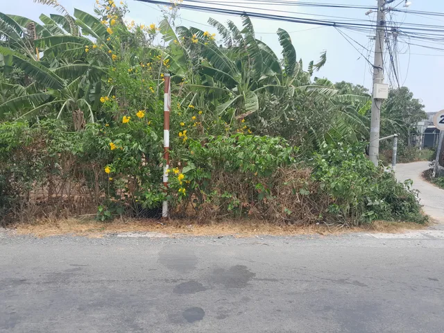 Bất động sản tại Tiền Giang - ảnh 1