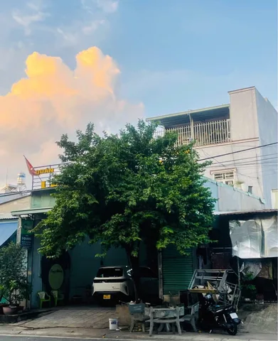Bất động sản tại Bình Dương - ảnh 1