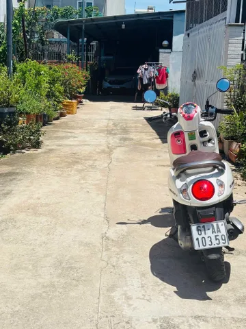 Bất động sản tại Bình Dương - ảnh 1