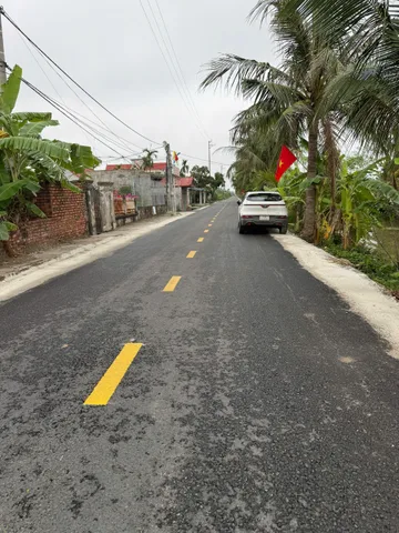 Bất động sản tại Hải Phòng - ảnh 1