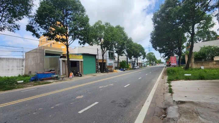 Bất động sản tại Bình Dương - ảnh 1